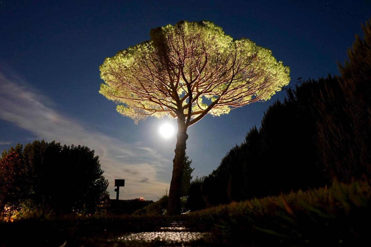 Agriturismo Buon Riposo - Country Resort In The Heart Of Tuscany San Giovanni a Corazzano Luaran gambar