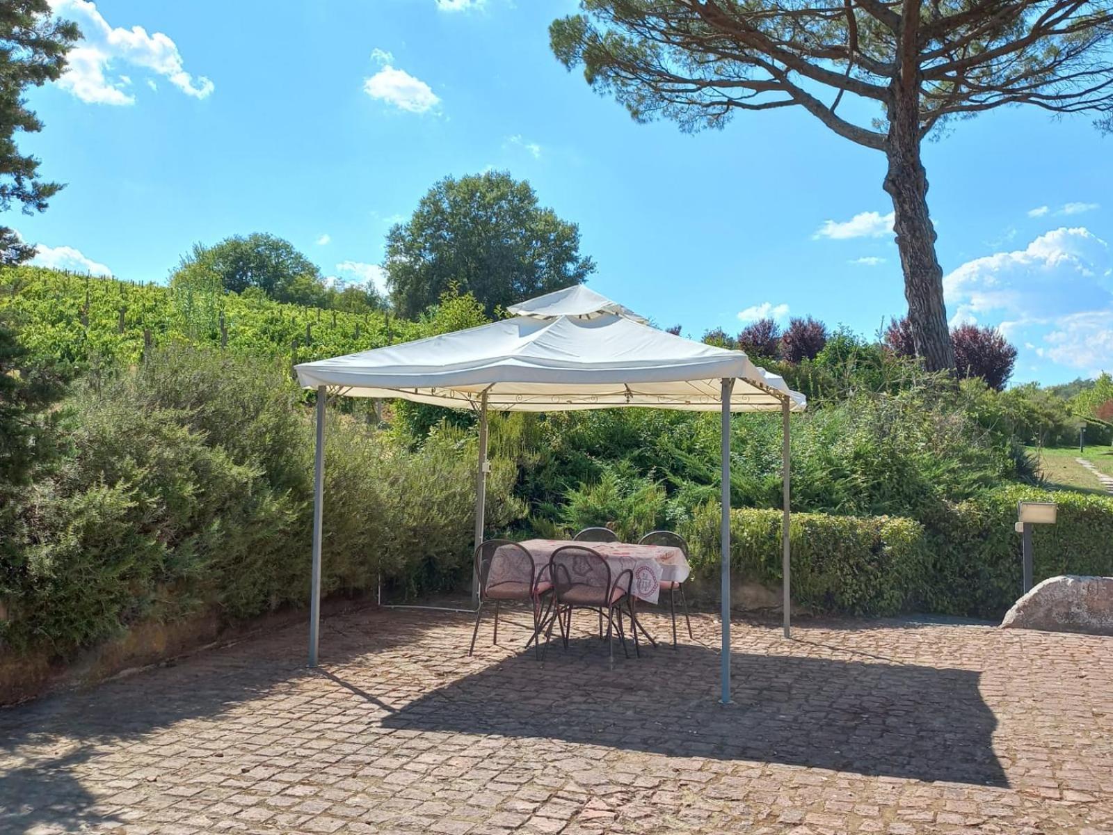 Agriturismo Buon Riposo - Country Resort In The Heart Of Tuscany San Giovanni a Corazzano Luaran gambar