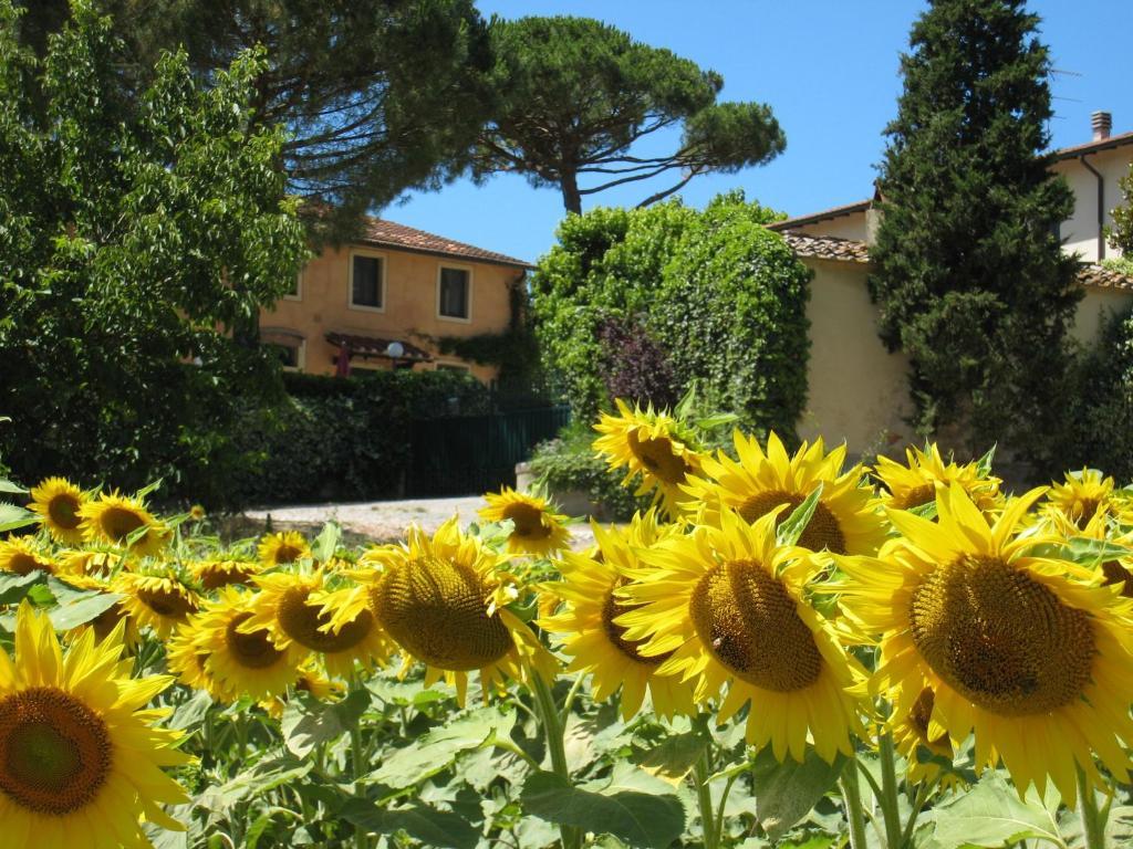 Agriturismo Buon Riposo - Country Resort In The Heart Of Tuscany San Giovanni a Corazzano Luaran gambar